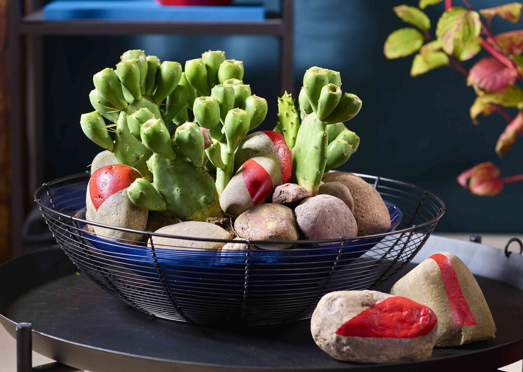 Stone, plants and colours: Coole Deko mit langlebigen Grün-Pflanzen. Das Design ist reduziert, Eyecatcher sind Kieselsteine mit roter Lack-Zeichnung.