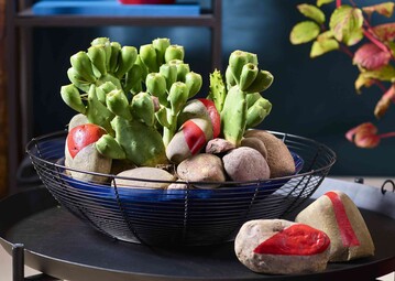 Stone, plants and colours: Coole Deko mit langlebigen Grn-Pflanzen. Das Design ist reduziert, Eyecatcher sind Kieselsteine mit roter Lack-Zeichnung.