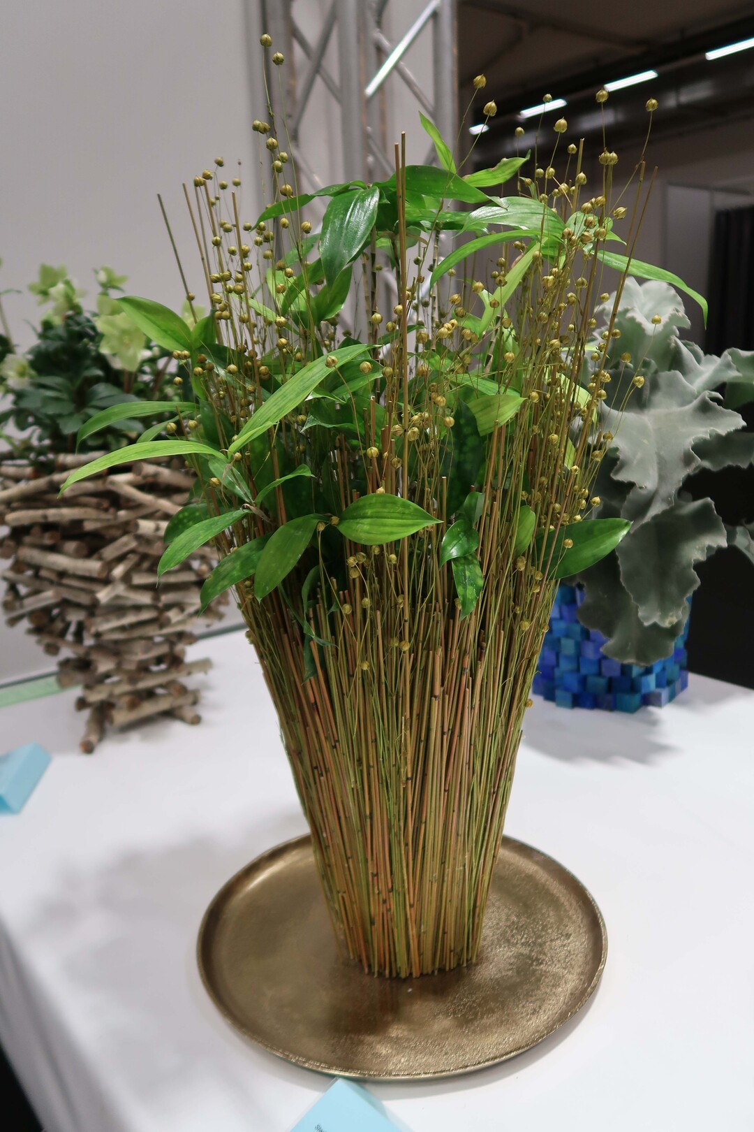 "Green hero in the pot" by Tanja Korsak - 2nd place