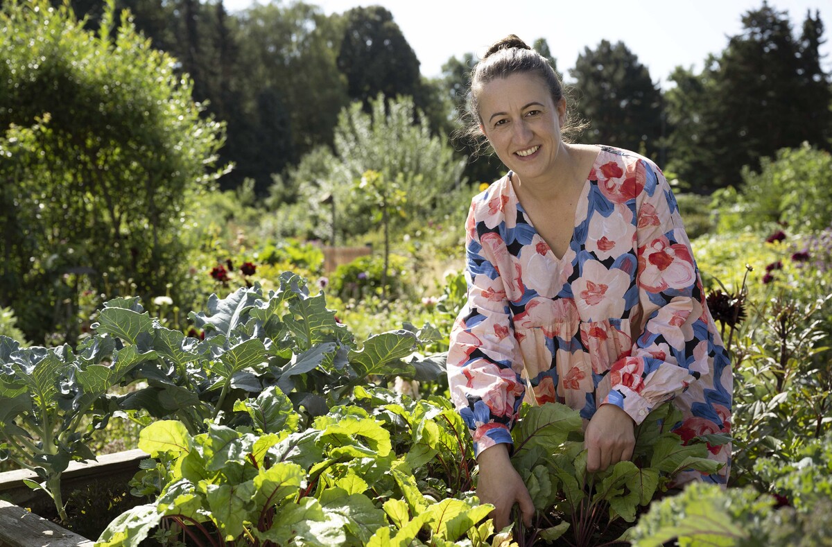 Garten & Lecker 5. Staffel florieren!