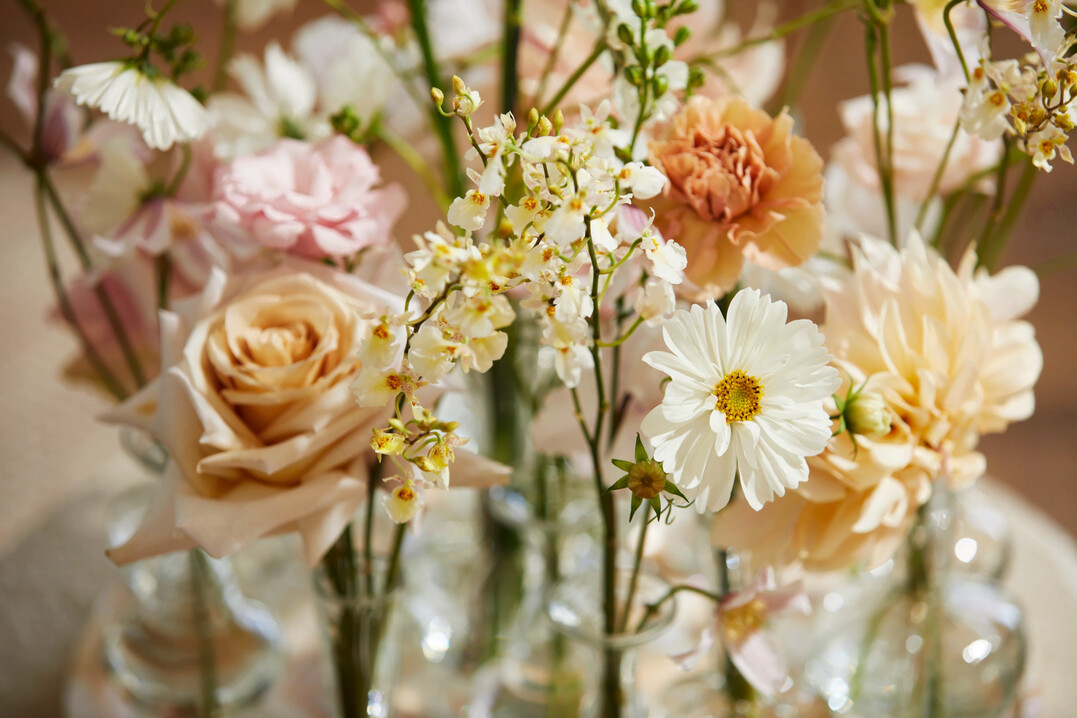 Der Trend Petit Paris reagiert auf das Bedrfnis der Menschen nach einem atmosphrischen Rckzugsort  das spiegelt sich in hellen, pastelligen Farben und zarten Blten wider.