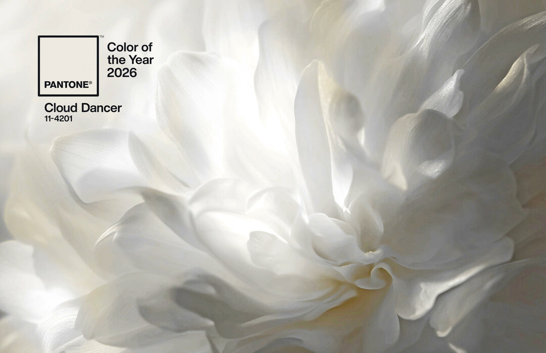 Die Farbe des Jahres von Pantone. Ein gebrochenes Weiß, das reich vertreten ist, in der Blumenwelt.