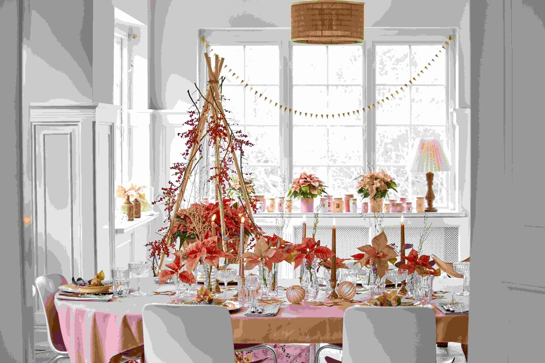 Mrchenhaft in Blush-Tnen