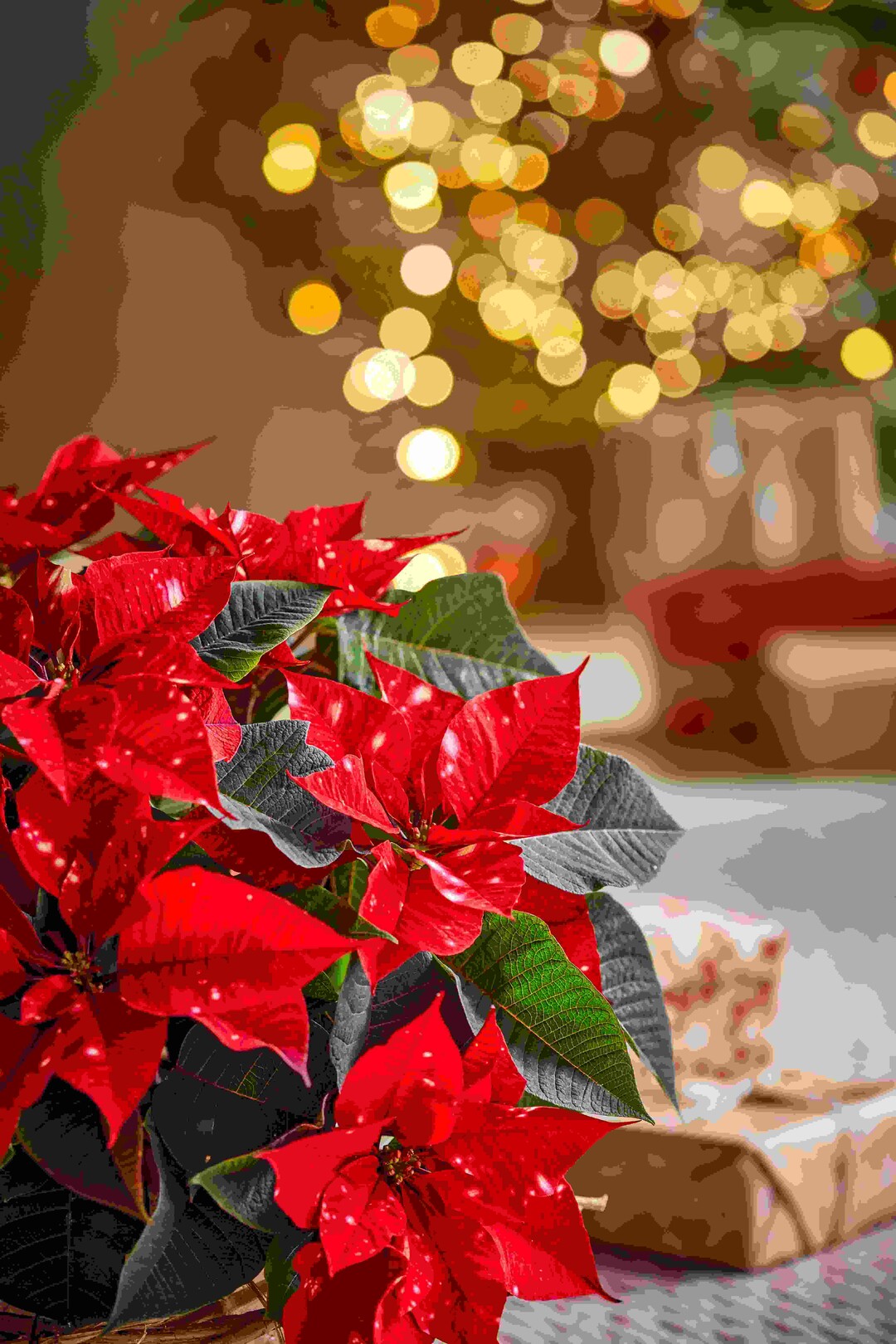 Weihnachtliche Wrme