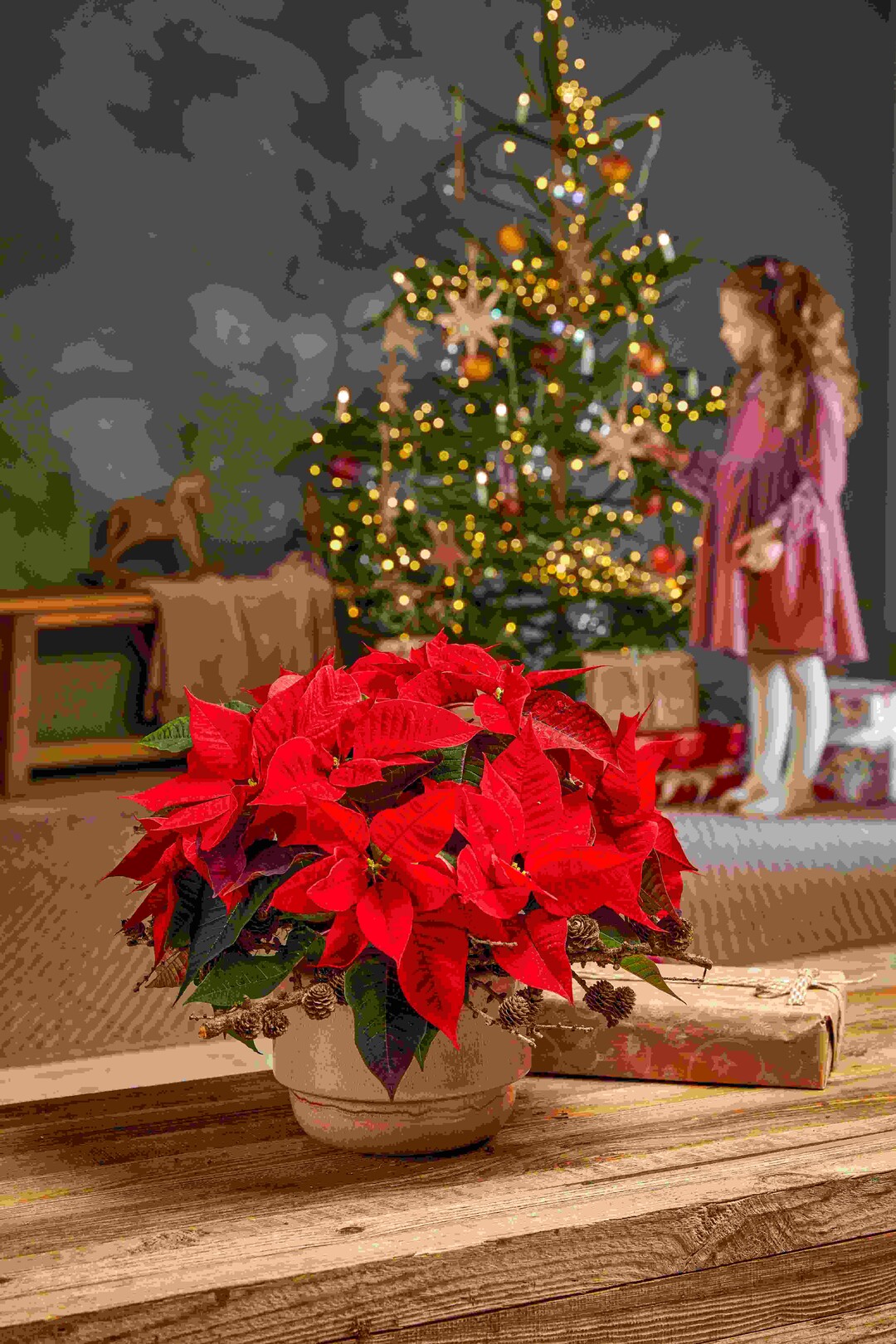 Weihnachtliche Wrme