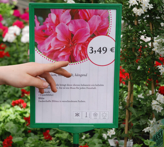 Preisanpassungen waren selbst bei Eckartikeln wie Pelargonien unausweichlich.