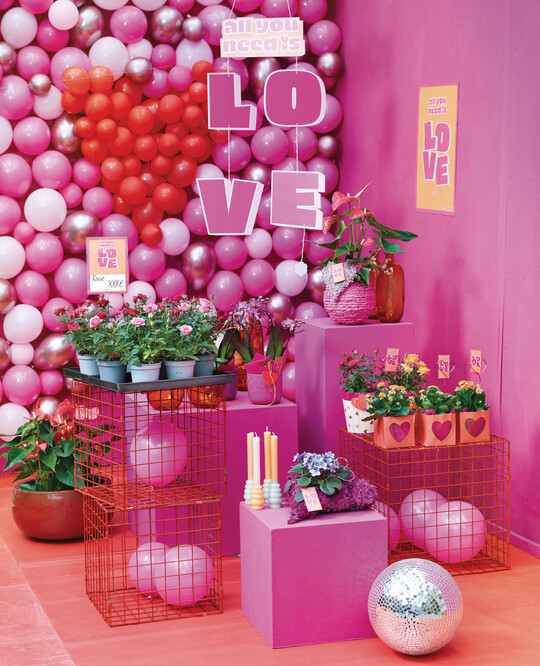Knalliges Pink, Rot und Orange  das Verkaufskonzept fr den Valentinstag All you need is love.