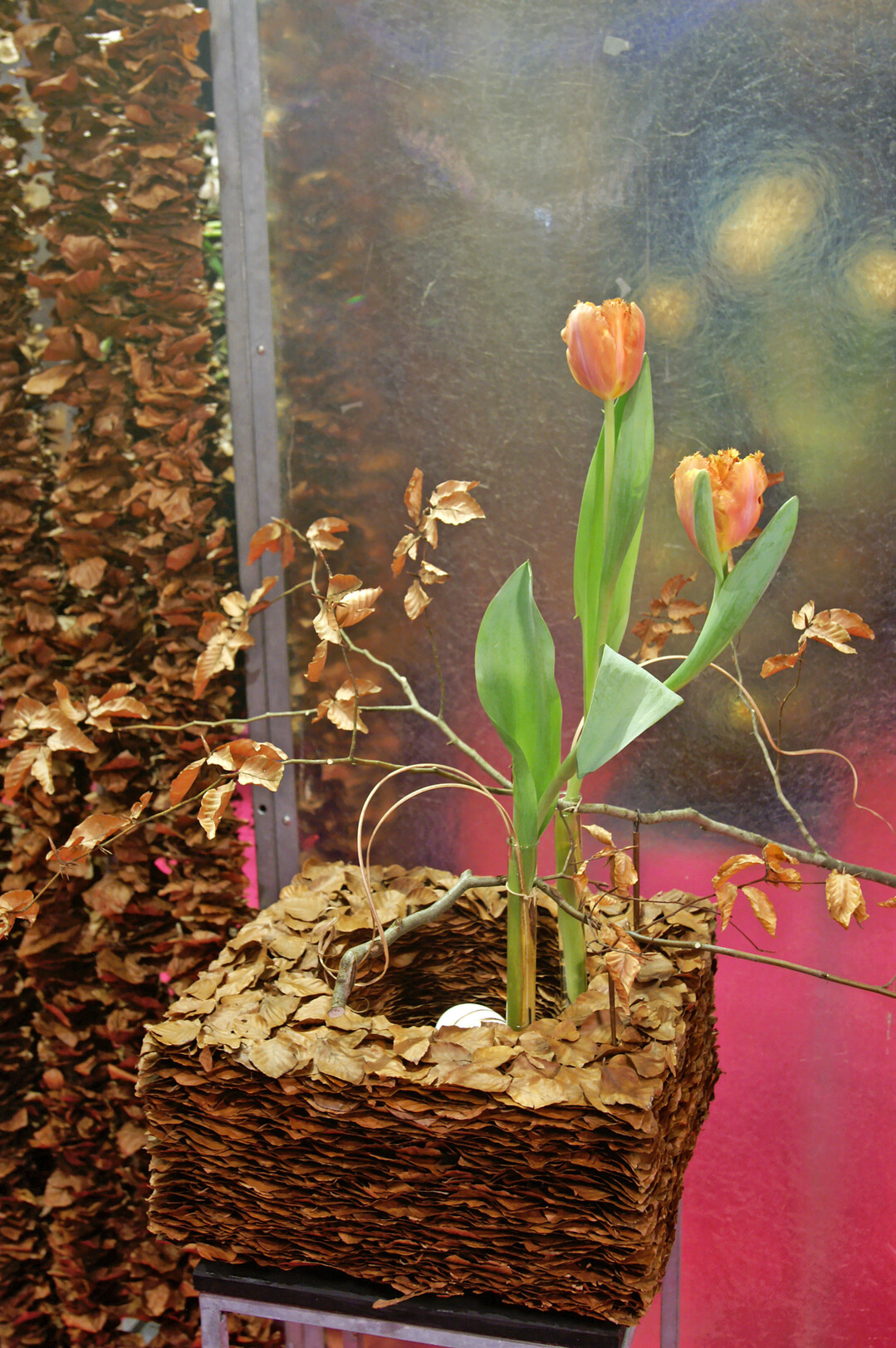 F�r diese Bl�tterstapel faltete Johanne de Carnee die Laubbl�tter und schichtete sie zu einer akkuraten Form. Den Bl�tter-Quader erg�nzt und kontrastiert ein Buchenzweig.