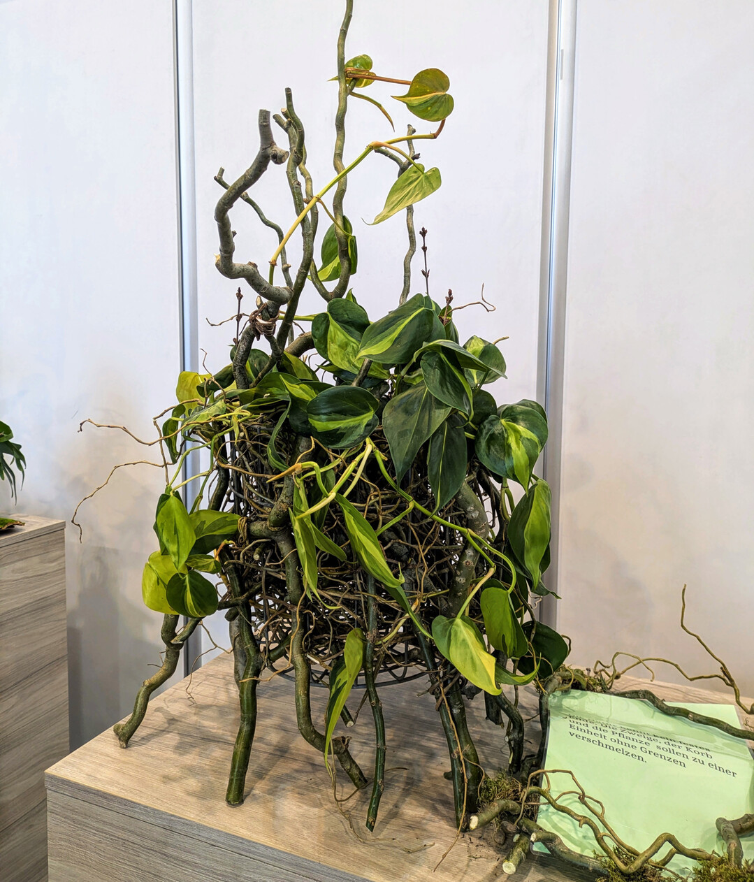 3. Platz: Der Korb und die Pflanze verschmelzen beim „Held im Topf“ von Imke Pätzold zu einem Ganzen ohne Grenzen.