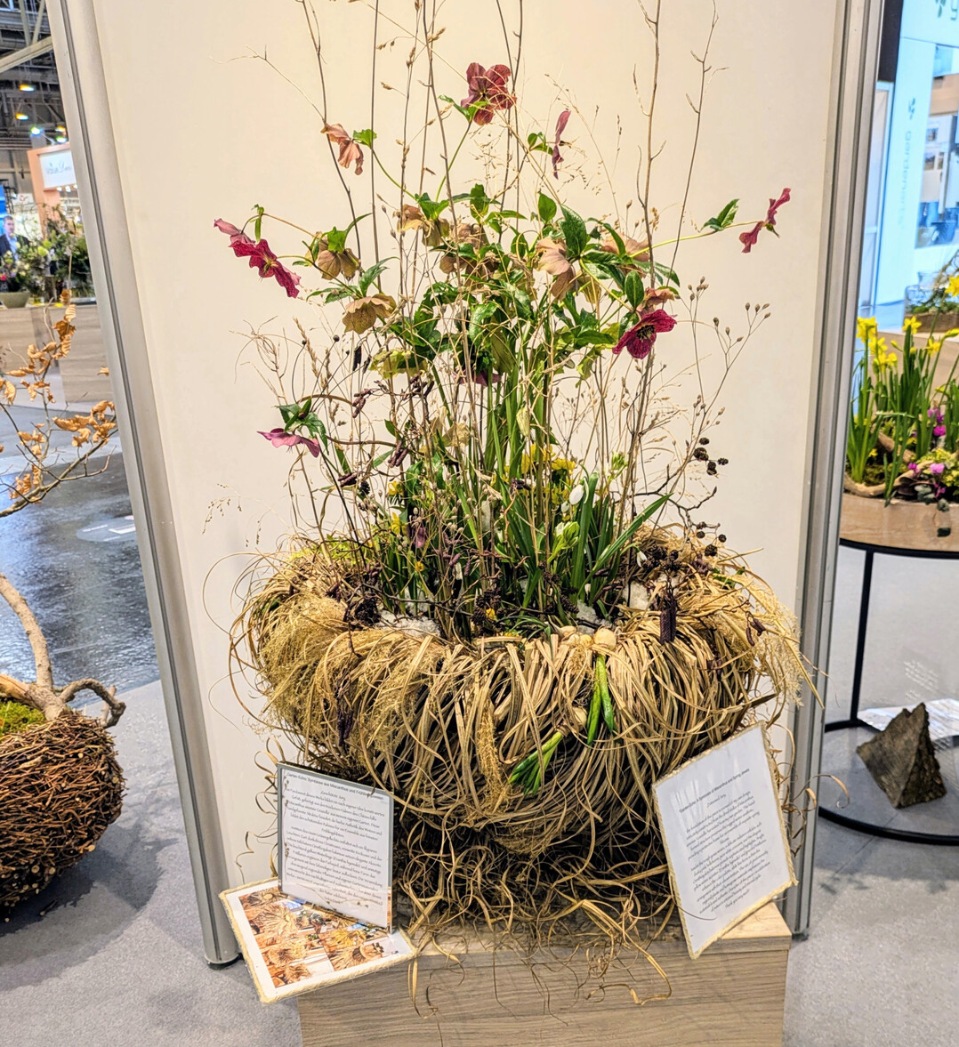 Rosana Camargo Blaschke nennt ihre Pflanzung (2.Platz) �Symbiose aus Miscanthus und Fr�hlingsjuwelen�. Die Verwendung �berwiegend regionaler Pflanzen und eigener Gartenmaterialien unterstreicht den nachhaltigen und authentischen Charakter dieses Werks.   