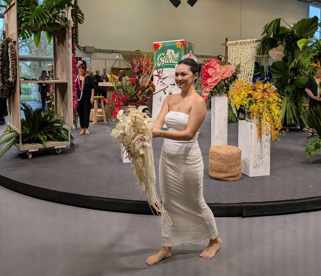 Heiraten ist Weiß, das ist auch auf Hawaii gefragt. Der passende tropfenförmige Brautstrauß enthält neben Anthurien und Cymbidien-Blüten auch abfließende Muschel-, Hyazinthen- und Schleierkraut-Fädelungen.