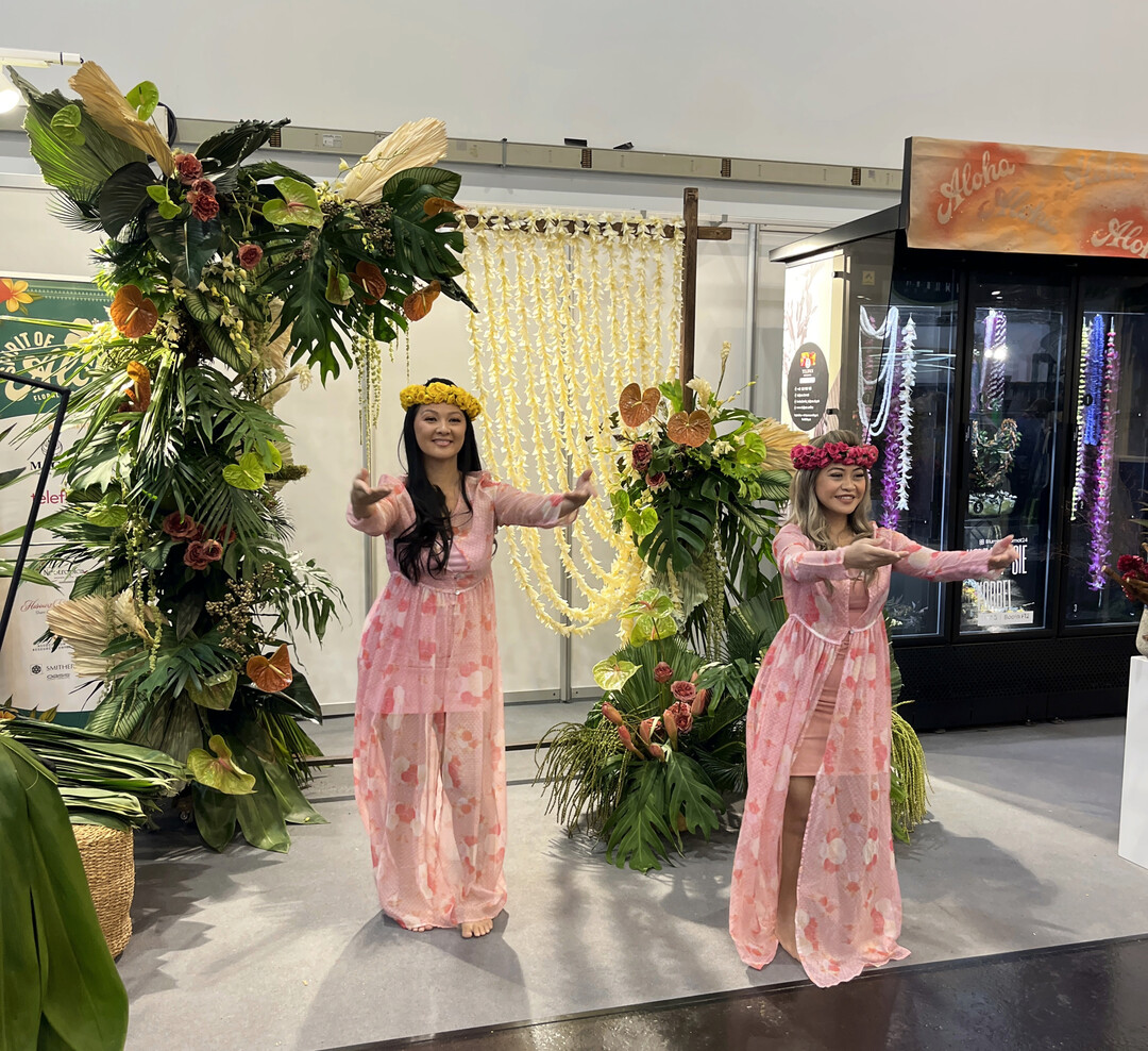 Authentische Darbietungen hawaiianischer Tänze gehörten dazu.