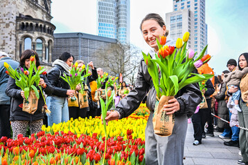Ein eintägiger Pop-Up-Garten bot in Berlin auf dem Breitscheidplatz 50.000 Tulpen kostenlos zum Bestaunen und Selberpflücken an.