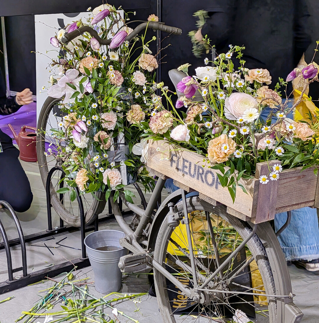 Die Auszubildenden des dritten Lehrjahres des BSZ Dresden zeigten Hochzeitsfloristik