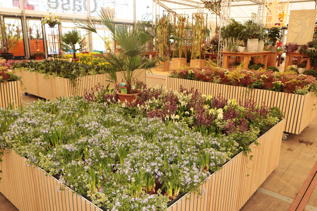 Das Thema der Er�ffnungsschau ist �Fr�hling auf der Rennbahn�.