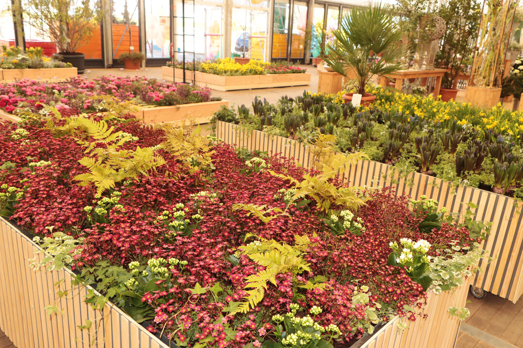 Die Hochbeete sind rollbar, um einen flexiblen Umbau zu erm�glichen. 