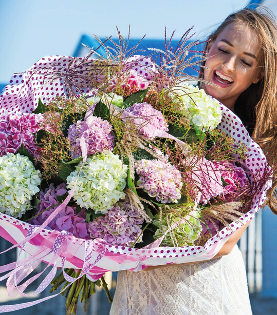 Die Schnitthortensie �berzeugt durch Vielseitigkeit, Farbintensit�t und markante Form � f�r ausdrucksstarke Arrangements mit Wow-Effekt.