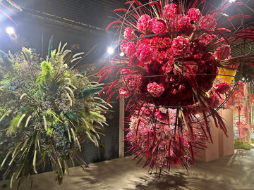 Duftexplosion hei�t die erste Hallenschau auf der Landesgartenschau in Bad Nenndorf.