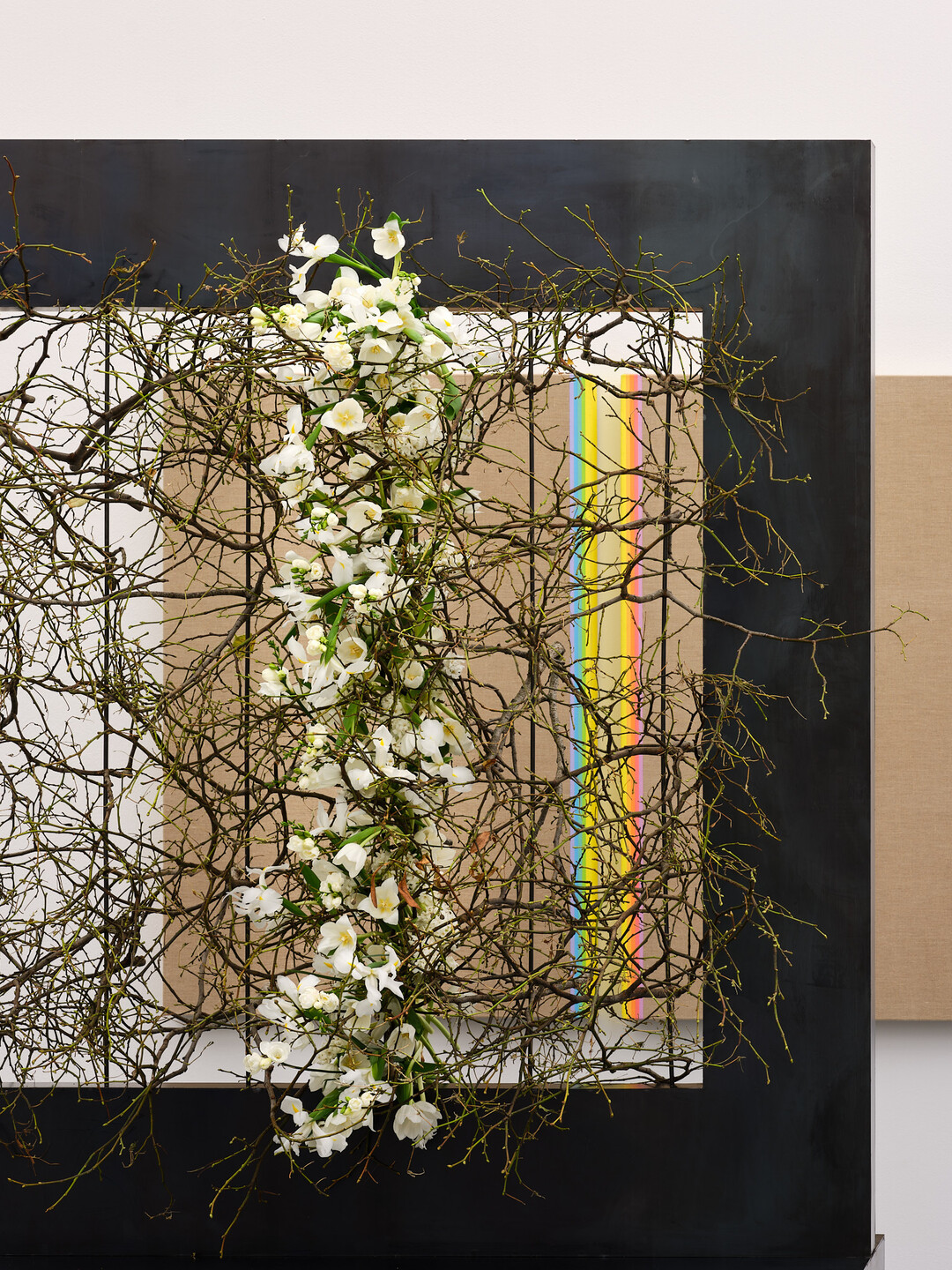 Florale Interpretation von Walter Zellweger, Schwellbrunn 
zum Werk von Jean Pfaff (*1945), Spaltkasten, 1974, Aargauer Kunsthaus
mit Genehmigung des Knstlers
