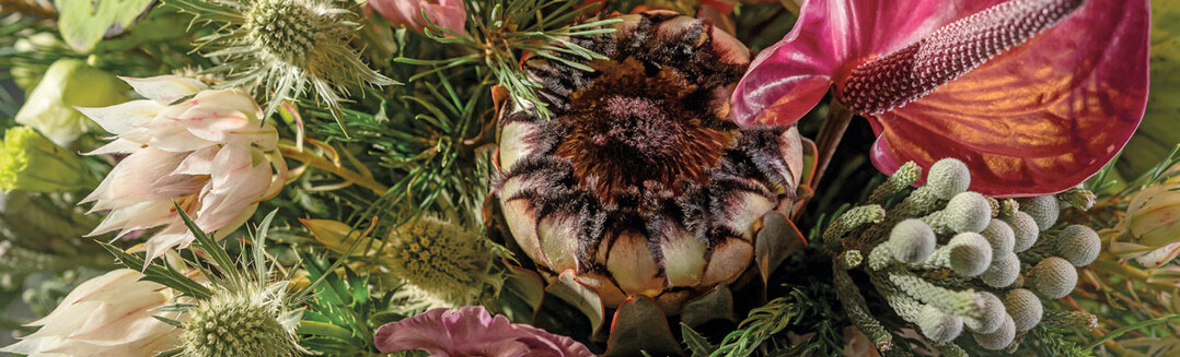 Bei der Werkstoffauswahl überrascht die harmonische Kombination ganz unterschiedlicher Formen und Herkunft: exotische Protea ‘Niobe’, Lotos-Früchte und Anthurien sind ebenso vertreten wie Nelken und die beiden Eustoma-Sorten ‘Botanic Pink’ und ‘Rosanne Black Pearl’.