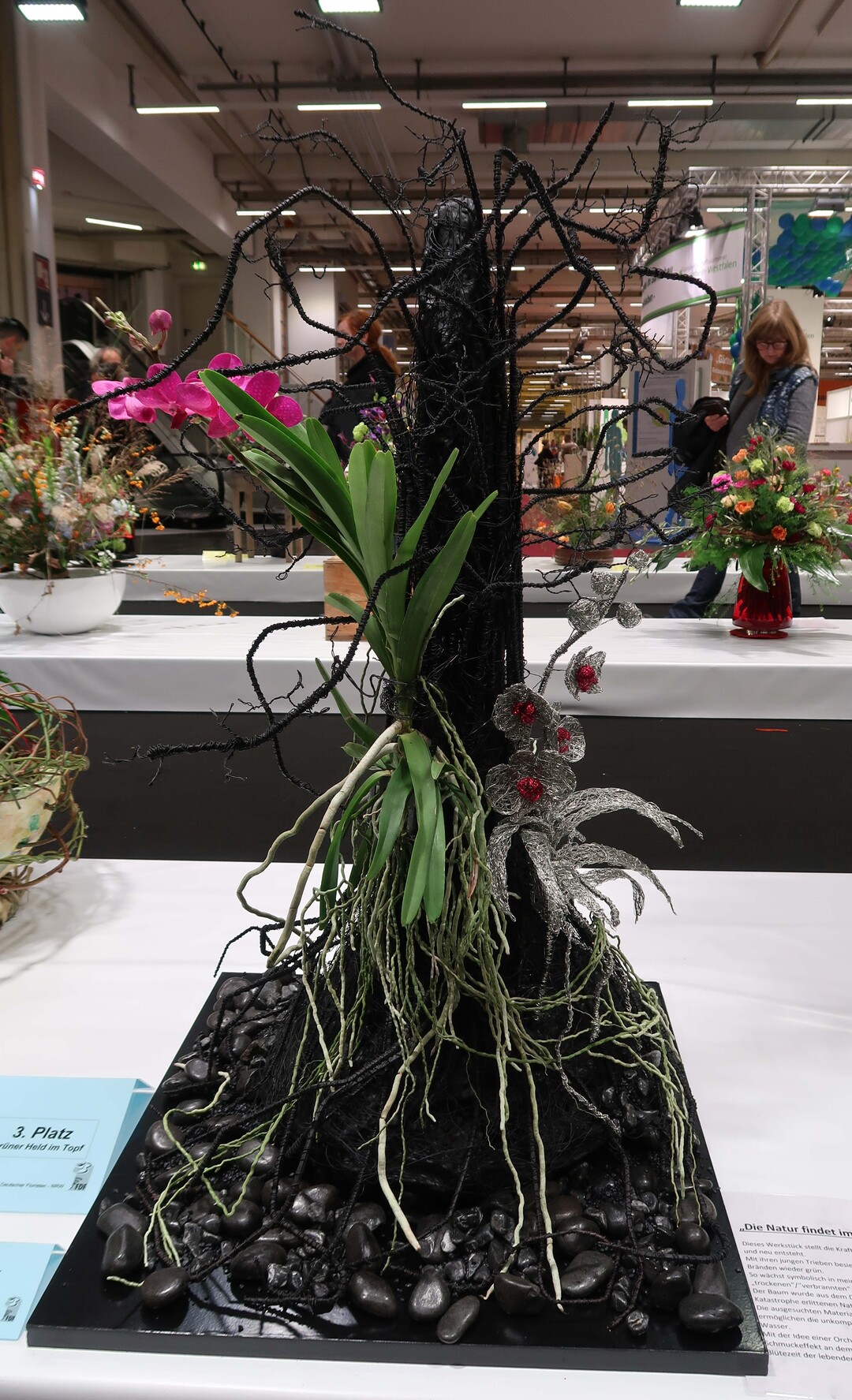"Green Hero in the Pot" by Gulfiia Milliard - 3rd place.