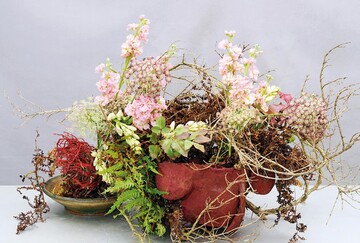 Eine Art spontanes Stillleben: Eine abgestorbene Pflanze mit ausgewaschenem Wurzelballen ist fest mit einer Form verbunden, die kein Behltnis darstellt, sondern ohne Boden offen daliegt. Sie ist aus einer Ton- Papier-Masse hergestellt und wirkt ein wenig wie unter einem Strauch vergessen. Passende Kontraste liefern Farn, Levkojen, Ammi 