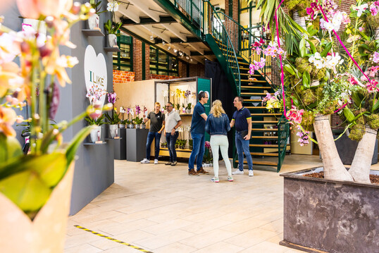 Exporteure, Großhändler, Klein- und Einzelhändler sind herzlich eingeladen 13 Orchideenzüchter zu besuchen. Um Anmeldung wird gebeten.