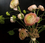 Annalena Mundorff (
<a href="https://www.instagram.com/annalensche_/"  target="_blank" >@annalensche_</a>
)