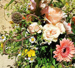 Salon zum Gänseblümchen (
<a href="https://www.instagram.com/salon_zum_ganseblumchen/"  target="_blank" >@salon_zum_ganseblumchen</a>
)