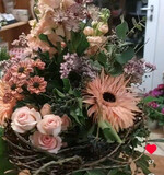 Andrea Oßmann (
<a href="https://www.instagram.com/andreaossmann/"  target="_blank" >@andreaossmann</a>
)