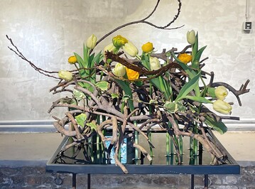 Eine einfache Mglichkeit, Floralien zu fixieren, bietet verholztes Gest. In diesem Fall handelt es sich um Rckst.nde eines Hngeweiden-Hochstmmchens  mit den wachsamen Augen eines Floristen am Straenrand entdeckt. Das Werkstck ist nicht transportabel und eher fr eine Eyecatcher- Gestaltung im Laden gedacht.