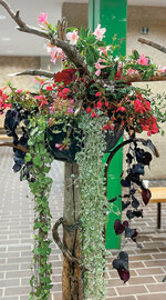 6) Ihre Pflanzschale beklebte die Floristin mit Fahrradschläuchen.