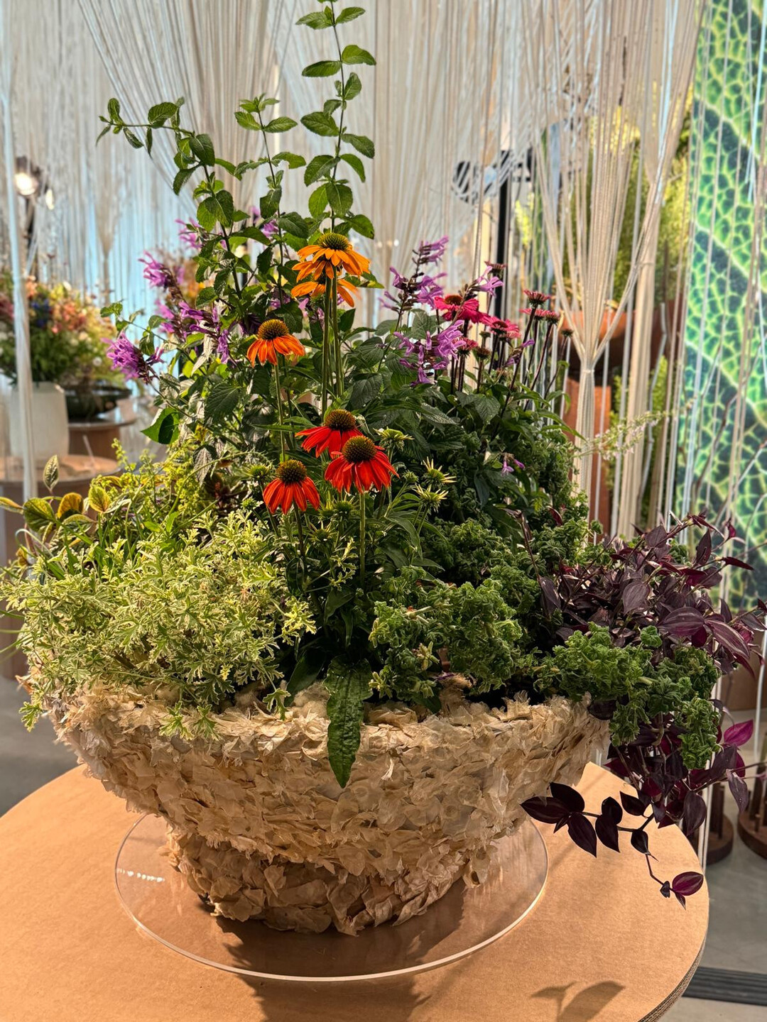 7. Blumenschau auf der Landesgartenschau in Wangen im Allgu