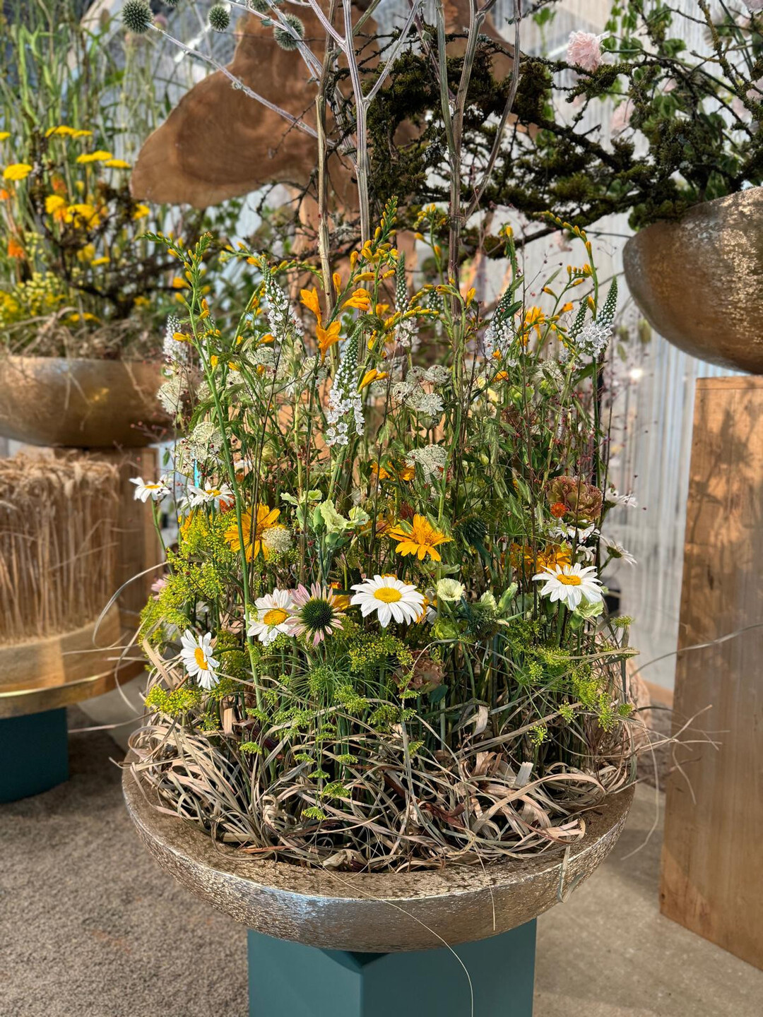 7. Blumenschau auf der Landesgartenschau in Wangen im Allgu