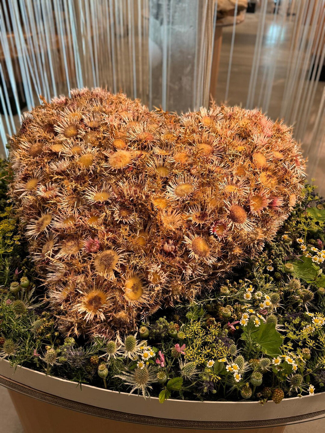 7. Blumenschau auf der Landesgartenschau in Wangen im Allgu