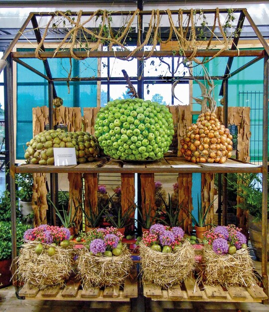 1)Das Thema Gemse steht hufig auf den Hallenschauplnen. Auf der Bundesgartenschau in Heilbronn formte Andrea Marchand berdimensionale Karotten und Zwiebeln