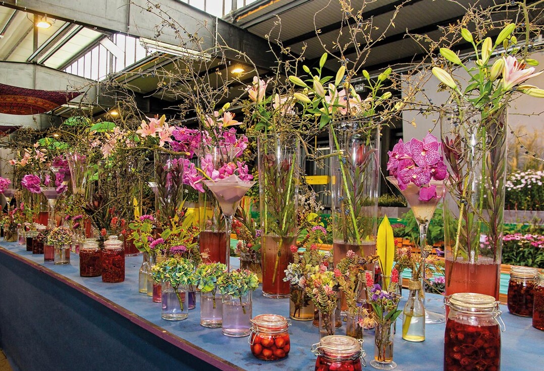 6) Die Farbwirkung von Blumen verstärkte Andrea Marchand mit farbigem Wasser in hohen Vasen, Pflanzen formierte sie zur Spirale.