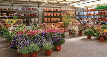 3) Der Sortimentsfokus liegt klar auf Blumen und Pflanzen. Bis in die 1990er-Jahre wurde ein Groteil der Saisonpflanzen noch selbst produziert. Heute erfolgt der Einkauf auf dem Hamburger Blumengromarkt vor allem aus regionaler Produktion.