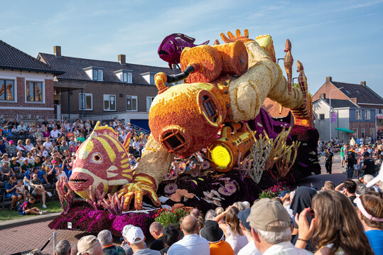 �Der Tiefseetaucher�