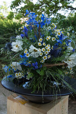 Strauß von Sarah Barclay