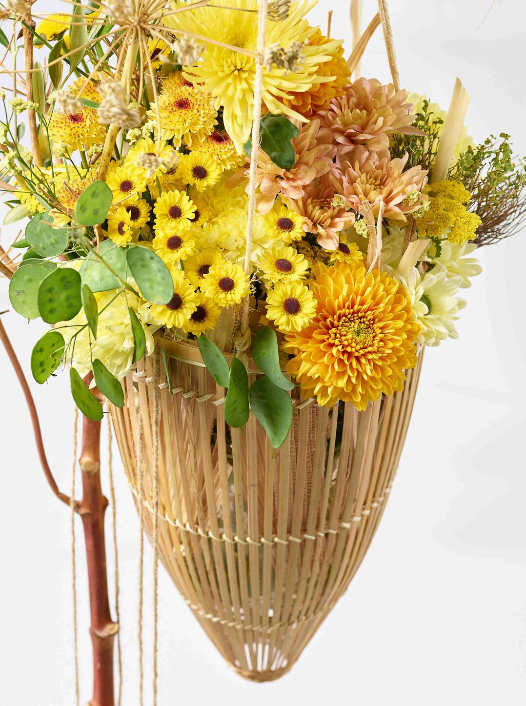   Hanging Baskets