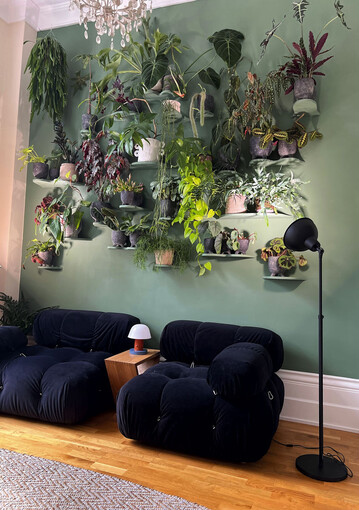 Für diese Wohnung wurden ganz unterschiedliche Pflanzen zu einem harmonischen Ganzen kombiniert – bei der Vielfalt an Farben, Blattund Wuchsformen sowie Gefäßen ist das die Kunst. Die Blätter sind unterschiedlich geformt, variieren im Grünton, sind panaschiert oder dunkelrot, der Wuchs reicht von hängend bis aufstrebend, die Sukkulenten brauchen wenig Wasser, andere Vertreter deutlich mehr. Sogar bei den Gefäßen gibt es Ausreißer in der Optik. Das verbindende Element ist die Wand mit den organisch geformten „Ausstülpungen“ für die Töpfe.