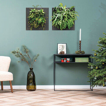 Für die Wand hat Mobilane unter anderem Pflanzenbilder „LivePicure GO“ im Programm.