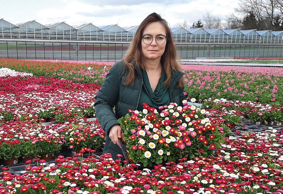 Sonja Ziegltrum ist Geschftsfhrerin der Bayerischen Blumen Zentrale. Hauptsitz ist in Parsdorf, Niederlassungen gibt es in Lindau, Nussdorf bei Salzburg und Wien.