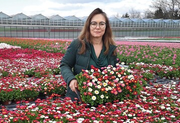 Sonja Ziegltrum ist Geschftsfhrerin der Bayerischen Blumen Zentrale. Hauptsitz ist in Parsdorf, Niederlassungen gibt es in Lindau, Nussdorf bei Salzburg und Wien.