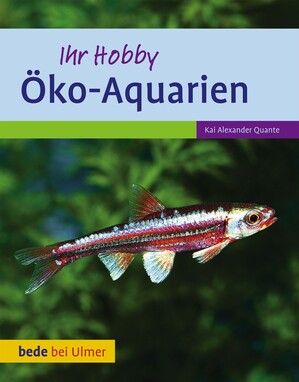 ko-Aquarien