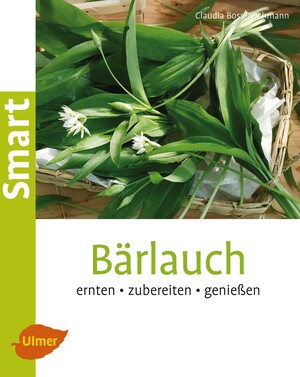 Brlauch