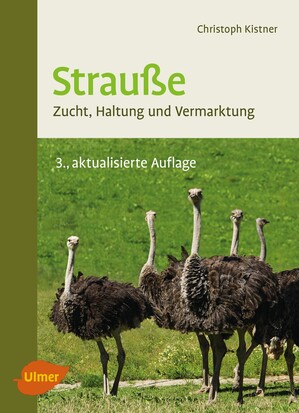 Straue