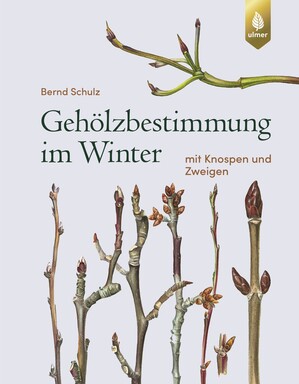 Gehlzbestimmung im Winter