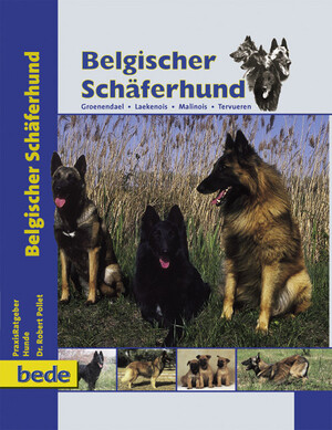 Belgischer Schäferhund